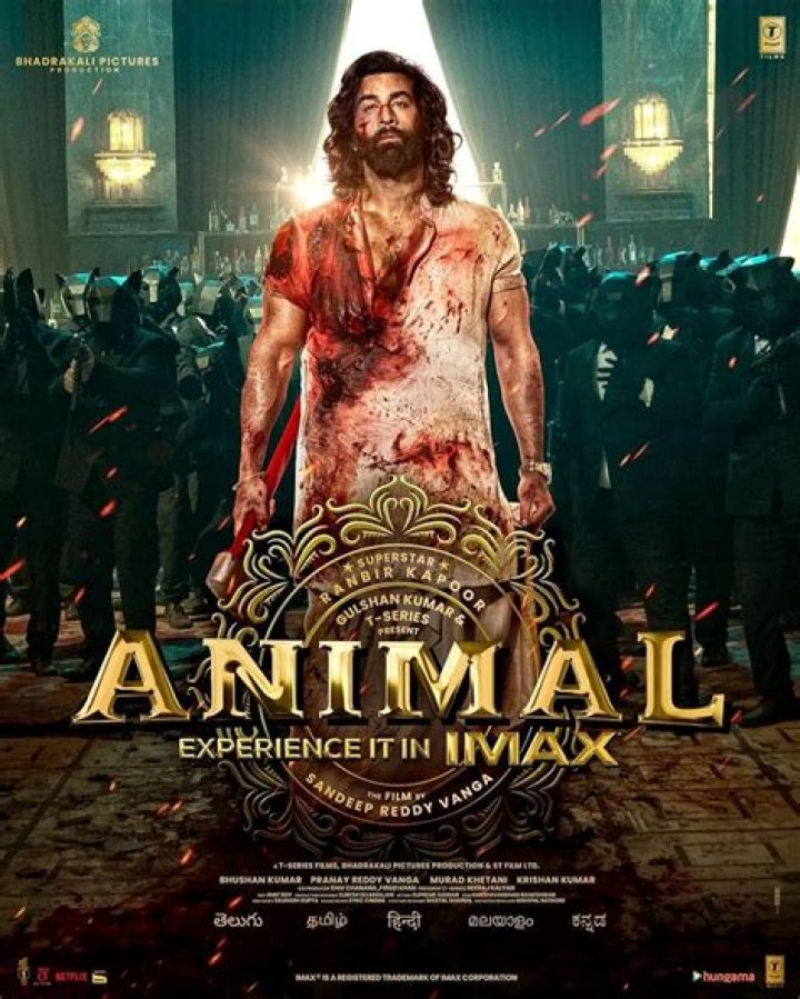 Bollyflix Hindi Dubbed: The Ultimate Guide to Enjoying Bollywood Movies