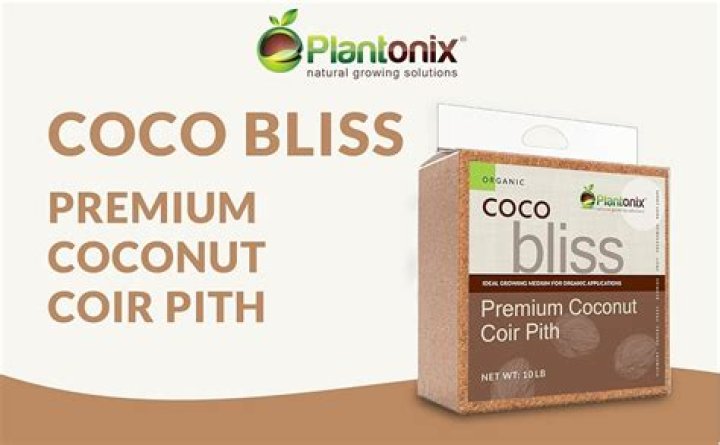 Coco Bliss Leak: Unveiling the Mystery Behind the Viral Sensation