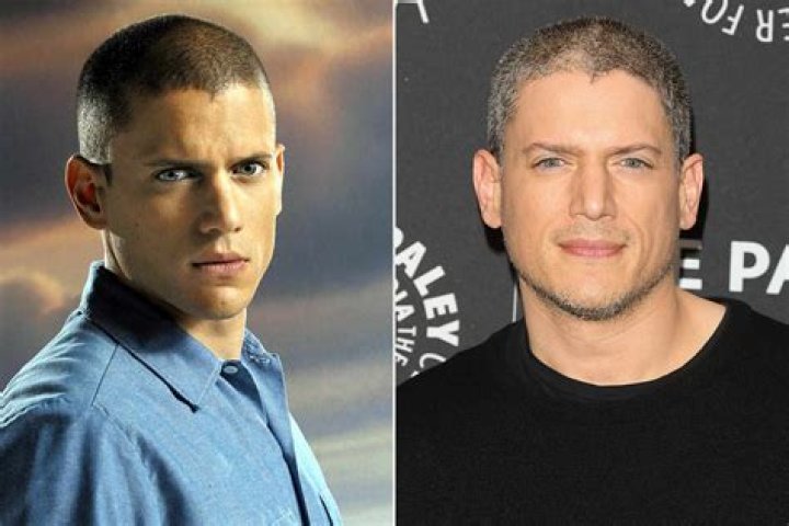 Delving Into Wentworth Miller's Relationship Status: Is Wentworth Miller Married?