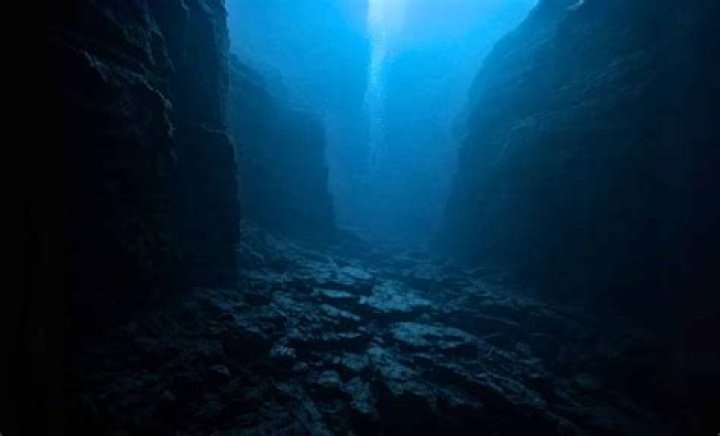 Discovering the Fascinating World of Makl