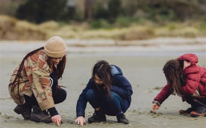 Discovering the Uniqueness of Plapjak: A Cultural Phenomenon