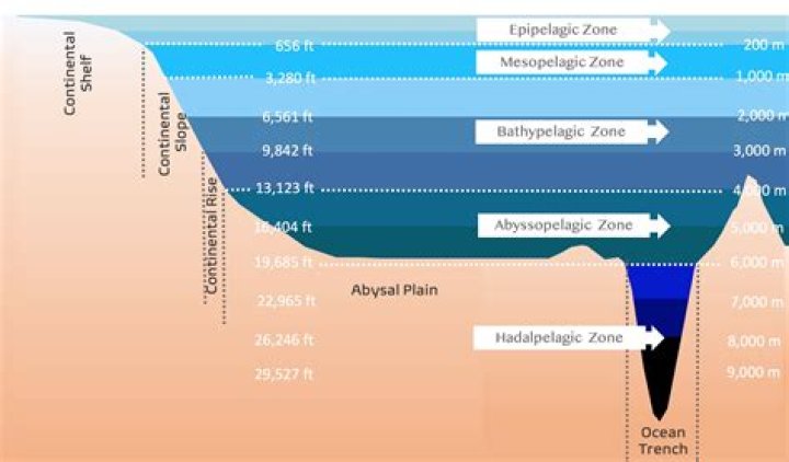 Discovering the World of Yadongtube: An In-Depth Exploration