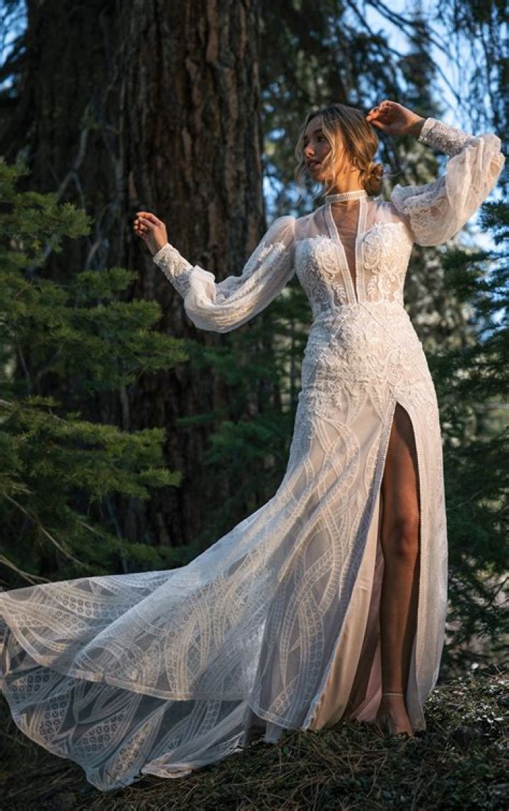 Embracing Beauty: The Allure of Paulacurves