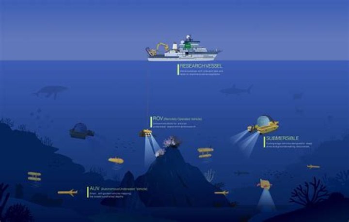 Exploring the Depths of Intim_mate Connections