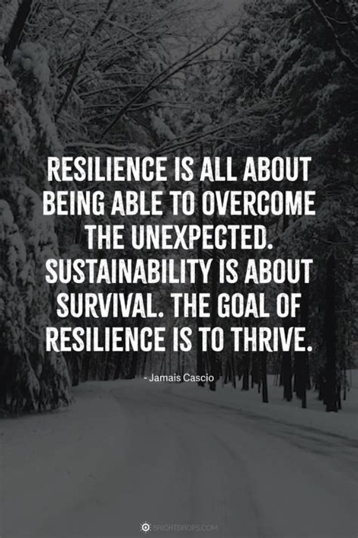 Misty Swain: A Journey Through Art and Resilience