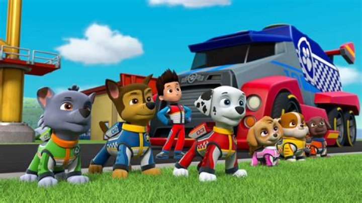 Paw Patrol Name: Exploring the Team of Brave Pups