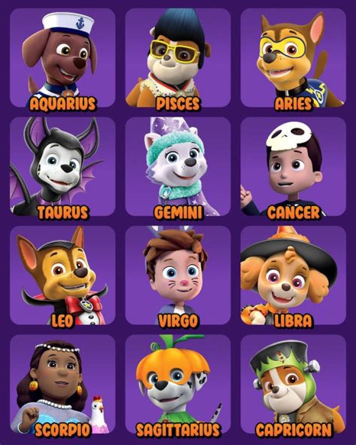 Paw Patrol Names: Exploring the Heroes Behind the Paws
