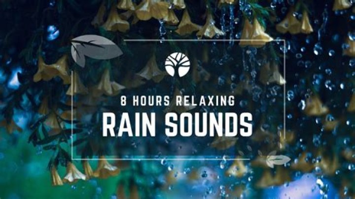 Relaxing and Refreshing Rain Sounds with Sophie: A Tranquil Escape