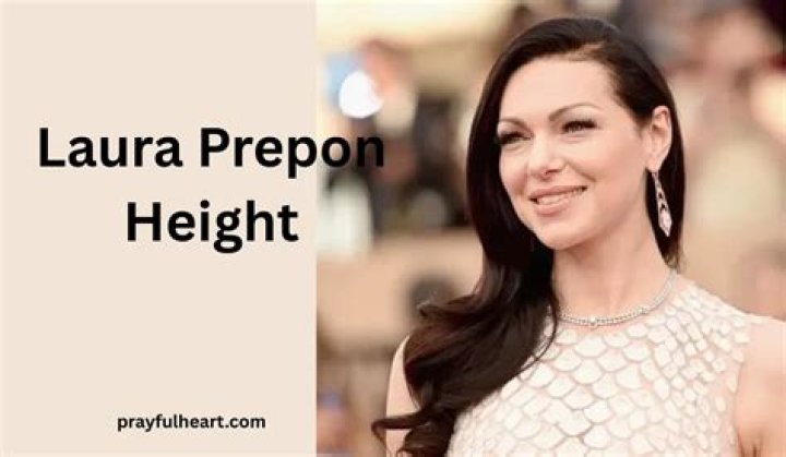 The Complete Guide to Laura Prepon's Age