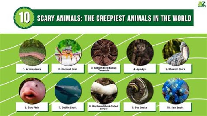 The Unnerving Unveiling of the Most Creepiest Creature on Earth