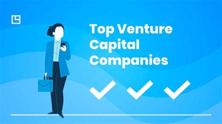 Top Venture Capital Providers for Startups