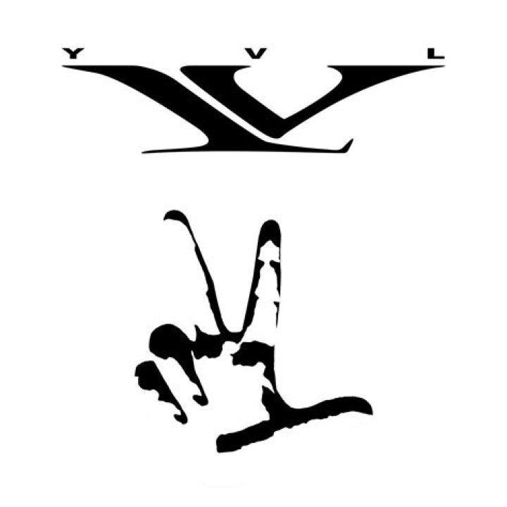 Understanding the Significance of the YVL Handshake