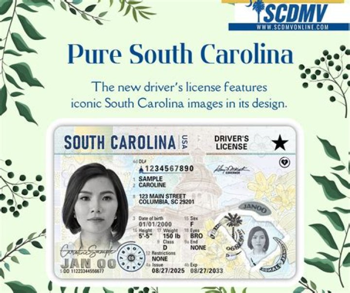 Unlocking Convenience: The Power of SCDMVOnline