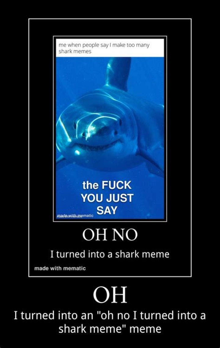 Unraveling the Mystery of Shark Bae Leaks: The Truth Behind the Buzz