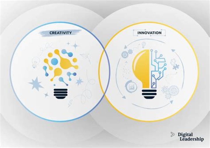 Unveiling Insra: A Journey Through Creativity and Innovation