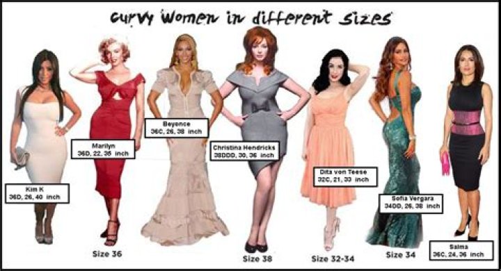 Unveiling the Allure of Celebrity Measurements: 38-28-38