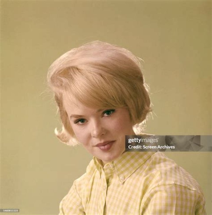Unveiling the Enigma of Joey Heatherton: A Journey Through Fame and Talent