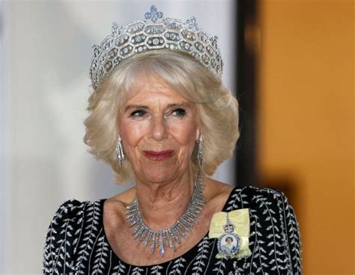Unveiling the Life and Achievements of Camilla Araujo Nide