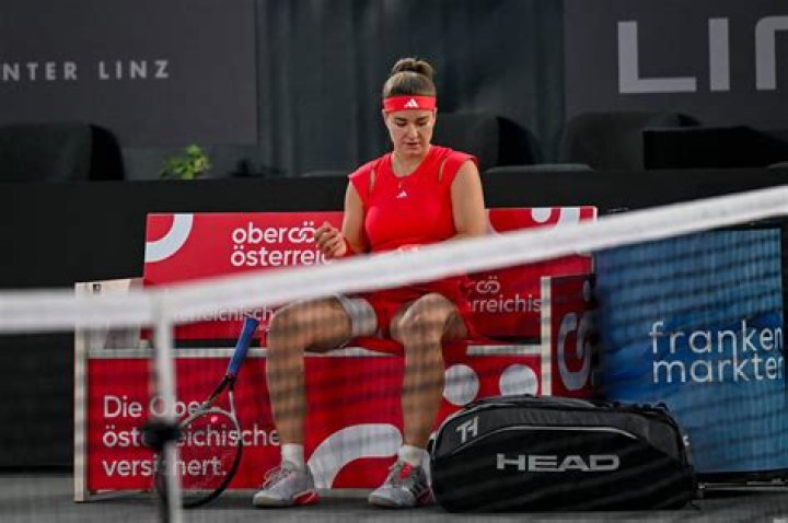 Unveiling the Life of Karolina Muchova's Partner