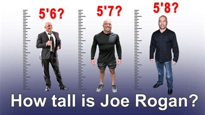 Unveiling the Remarkable Height of Joe Rogan: A Comprehensive Analysis